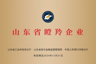 2021年被評(píng)為山東省瞪羚企業(yè)