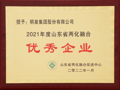 2021年度山東省兩化融合優(yōu)秀企業(yè)