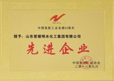 中國(guó)氮肥工業(yè)發(fā)展60周年先進(jìn)企業(yè)